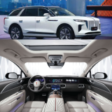 Hongqi e hs9