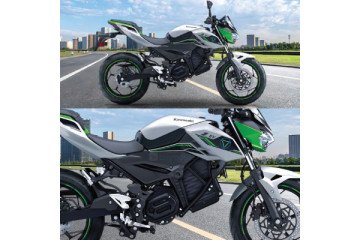 Kawasaki Ninja HEV Bike