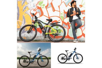 EMotorad Desert Eagle Bike