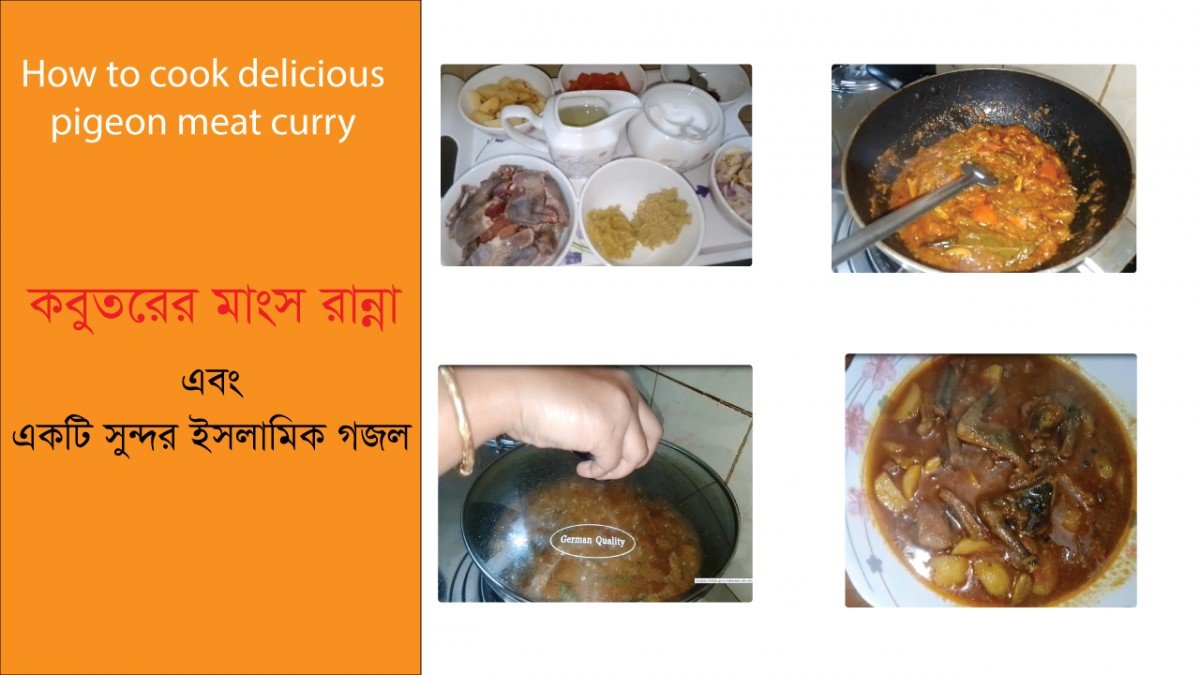 pigeon meat recipe pigeon meat recipe