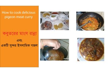 pigeon meat recipe
