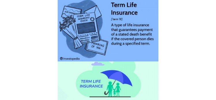 Term life insurance