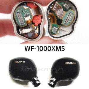 Sony WF 1000XM5